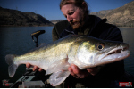 Ripper REDBASS KICKER XL - 125 mm