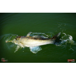 Ripper REDBASS KICKER XL - 125 mm
