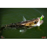 Ripper REDBASS KICKER XL - 125 mm