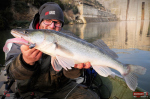 Ripper REDBASS KICKER XL - 125 mm