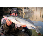 Ripper REDBASS KICKER XL - 125 mm