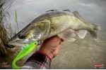 Ripper REDBASS KICKER XL - 125 mm