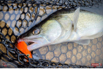 Ripper REDBASS KICKER XL - 125 mm