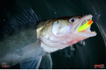 Ripper REDBASS KICKER XL - 125 mm