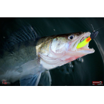 Ripper REDBASS KICKER XL - 125 mm