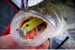 Ripper REDBASS KICKER XL - 125 mm