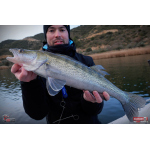Ripper REDBASS KICKER XL - 125 mm