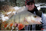 Ripper REDBASS KICKER XL - 125 mm