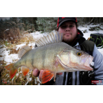 Ripper REDBASS KICKER XL - 125 mm