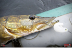 Ripper REDBASS KICKER XL - 125 mm