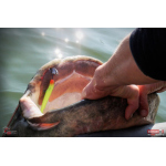 Ripper REDBASS KICKER XL - 125 mm