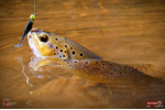 Ripper REDBASS KICKER XS - 42 mm