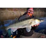 Ripper REDBASS KICKER XXL - 200 mm