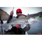 Ripper REDBASS KICKER XXL - 200 mm