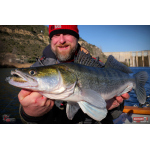Ripper REDBASS KICKER XXL - 200 mm