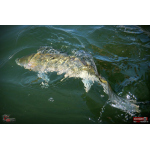 Ripper REDBASS KICKER XXL - 200 mm