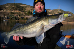 Ripper REDBASS KICKER XX - 155 mm