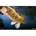 Ripper REDBASS KICKER XXL - 200 mm