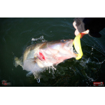 Ripper REDBASS KICKER XXL - 200 mm
