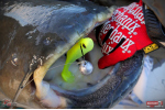 Ripper REDBASS KICKER XX - 155 mm