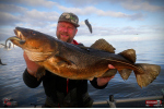 Ripper REDBASS KICKER XX - 155 mm