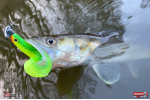 Twister REDBASS KIXTER L - 100 mm