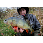 Twister REDBASS KIXTER L - 100 mm