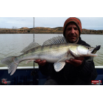 Twister REDBASS KIXTER XL - 125 mm