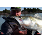 Twister REDBASS KIXTER XL - 125 mm