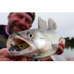 Twister REDBASS KIXTER XL - 125 mm
