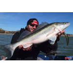 Twister REDBASS KIXTER XL - 125 mm