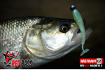 Ripper REDBASS MAGNETO S - 67 mm