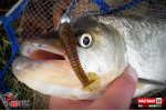 Ripper REDBASS MAGNETO S - 67 mm
