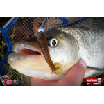 Ripper REDBASS MAGNETO S - 67 mm