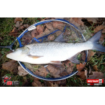 Ripper REDBASS MAGNETO S - 67 mm