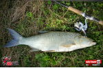 Ripper REDBASS MAGNETO S - 67 mm