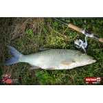 Ripper REDBASS MAGNETO S - 67 mm