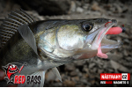 Ripper REDBASS MAGNETO L - 96 mm