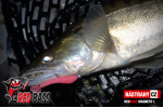 Zvýhodnená sada Streamer Marabou "Čeburaška"