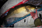 Ripper REDBASS MAGNETO S - 67 mm
