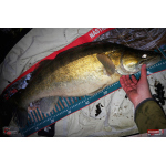 Ripper REDBASS MAGNETO S - 67 mm