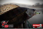 Ripper REDBASS MAGNETO S - 67 mm