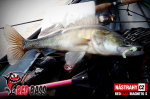 Ripper REDBASS MAGNETO S - 67 mm