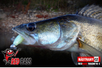 Ripper REDBASS MAGNETO S - 67 mm