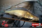Ripper REDBASS MAGNETO S - 67 mm