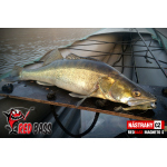 Ripper REDBASS MAGNETO S - 67 mm