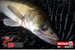 Ripper REDBASS MAGNETO S - 67 mm