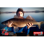 Ripper REDBASS MAGNETO S - 67 mm