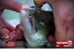 Ripper REDBASS MAGNETO S - 67 mm