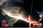 Ripper REDBASS MAGNETO S - 67 mm